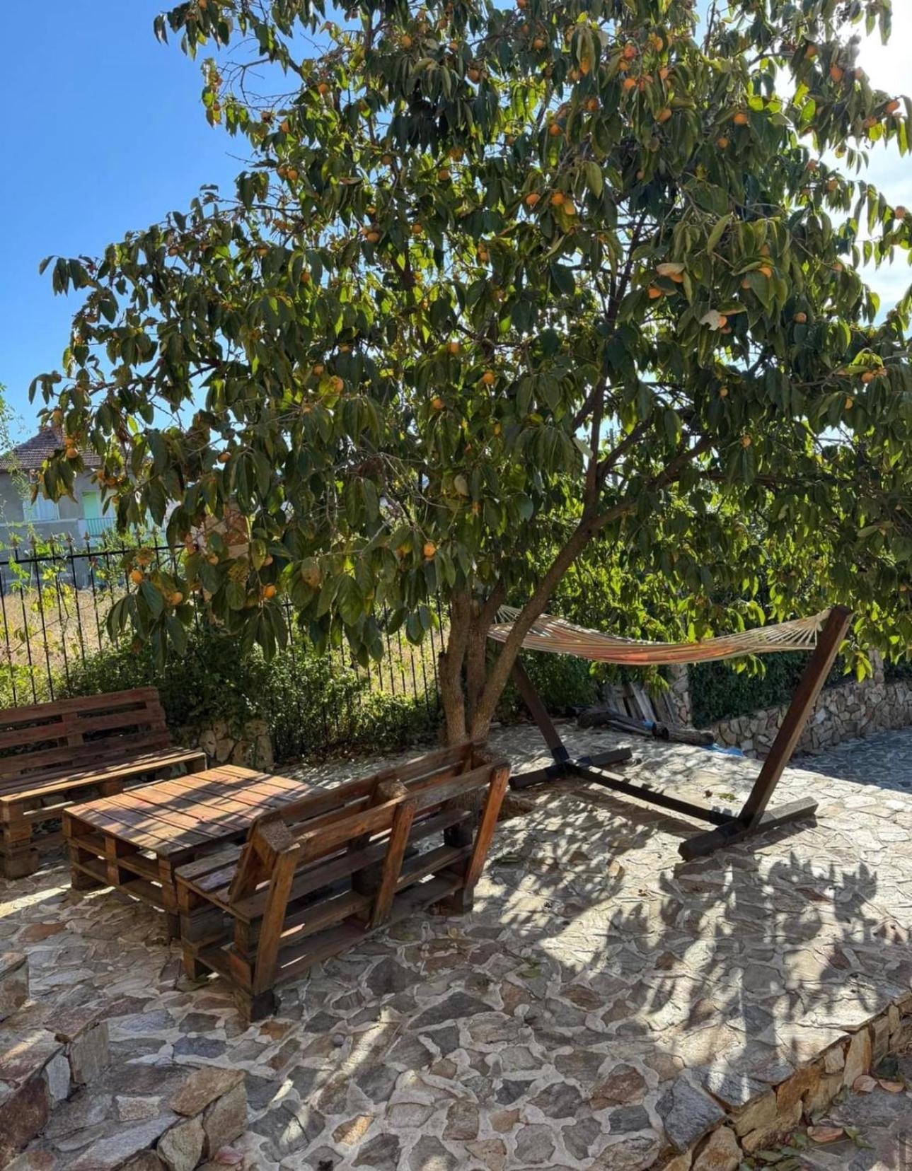 Sunshine Villa Dzhigurovo Sandanski Eksteriør bilde